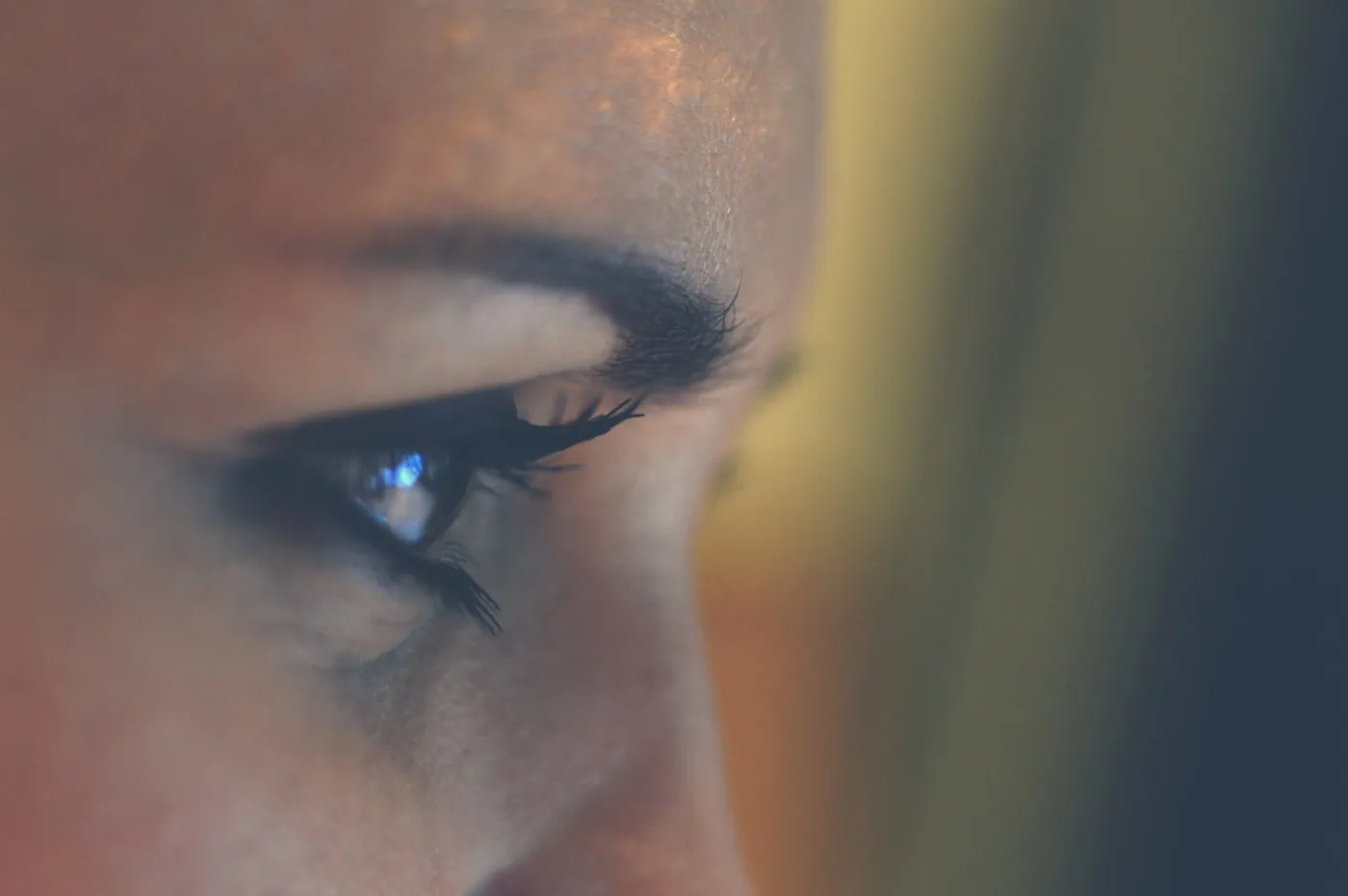 Shaped and tinted brow, close detail